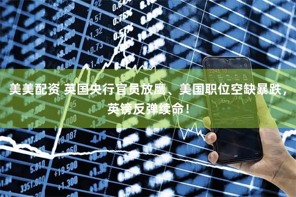 美美配资 英国央行官员放鹰、美国职位空缺暴跌，英镑反弹续命！