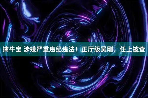 擒牛宝 涉嫌严重违纪违法！正厅级吴刚，任上被查