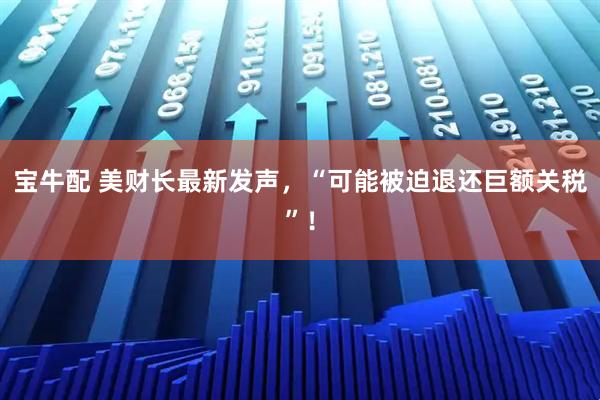 宝牛配 美财长最新发声，“可能被迫退还巨额关税”！