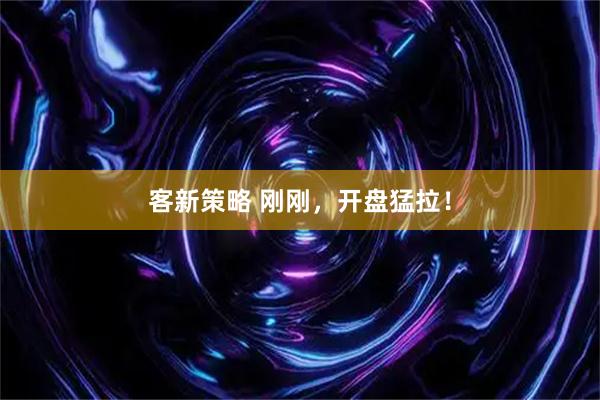 客新策略 刚刚，开盘猛拉！