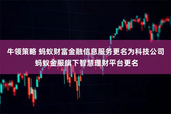 牛领策略 蚂蚁财富金融信息服务更名为科技公司 蚂蚁金服旗下智慧理财平台更名