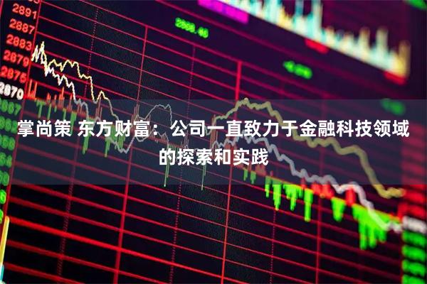 掌尚策 东方财富：公司一直致力于金融科技领域的探索和实践