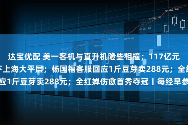 达宝优配 美一客机与直升机险些相撞；117亿元！马来西亚首富之子买下上海大平层；杨国福客服回应1斤豆芽卖288元；全红婵伤愈首秀夺冠丨每经早参