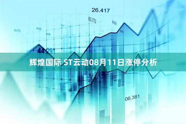 辉煌国际 ST云动08月11日涨停分析