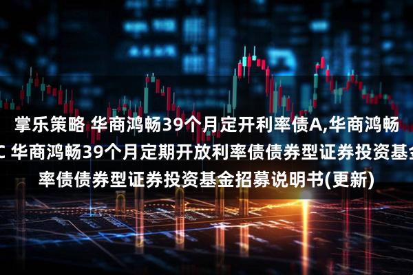 掌乐策略 华商鸿畅39个月定开利率债A,华商鸿畅39个月定开利率债C 华商鸿畅39个月定期开放利率债债券型证券投资基金招募说明书(更新)